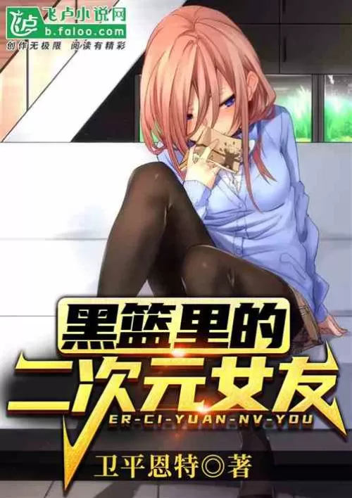 The second dimension girlfriend in the black basket